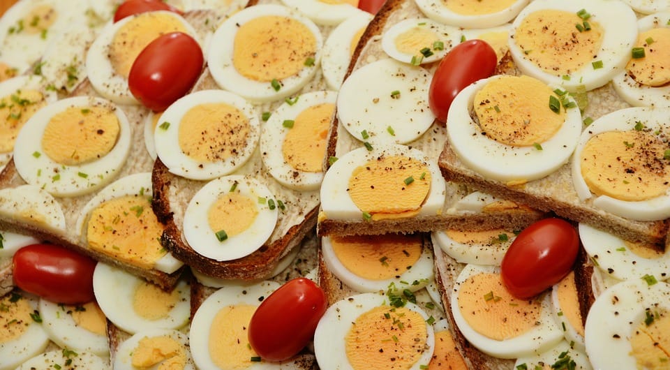 protein supplements